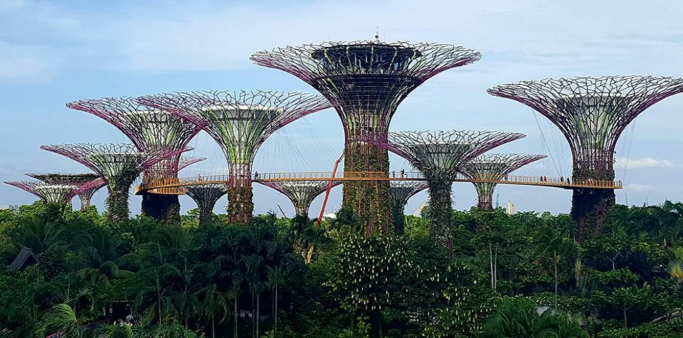 Gardens by the Bay3